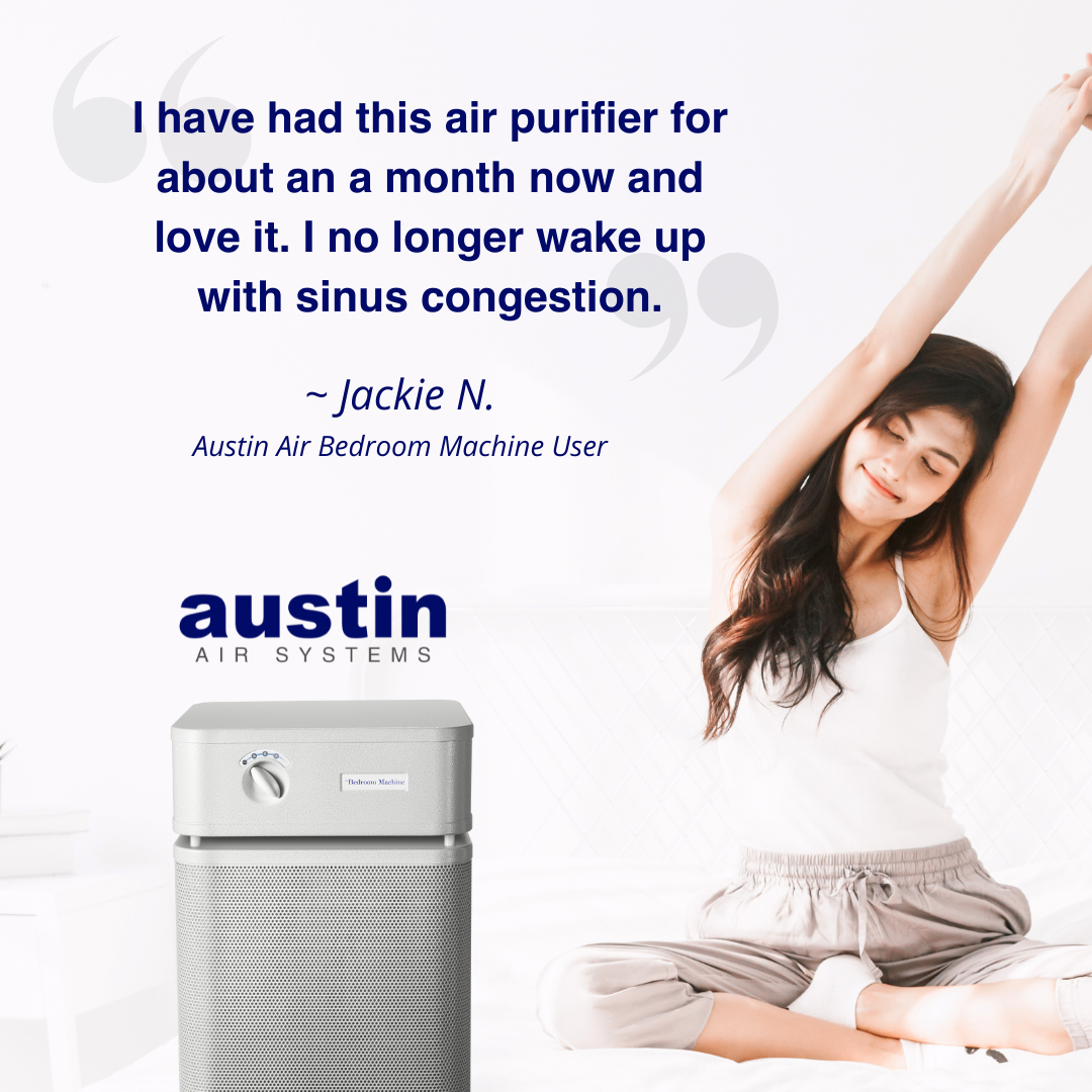 Austin Air The Bedroom Machine Medical Grade HEPA Air Purifier B402A1